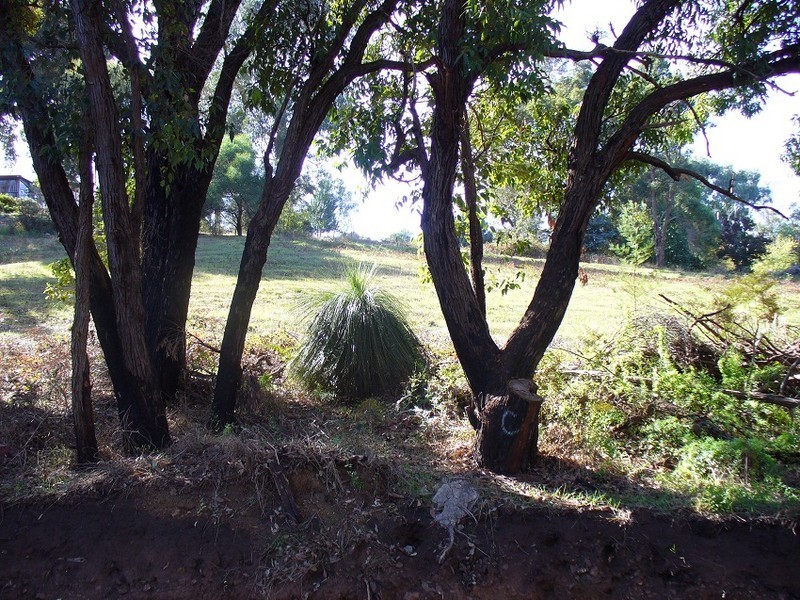 8 Railway Terrace, Bridgetown WA 6255