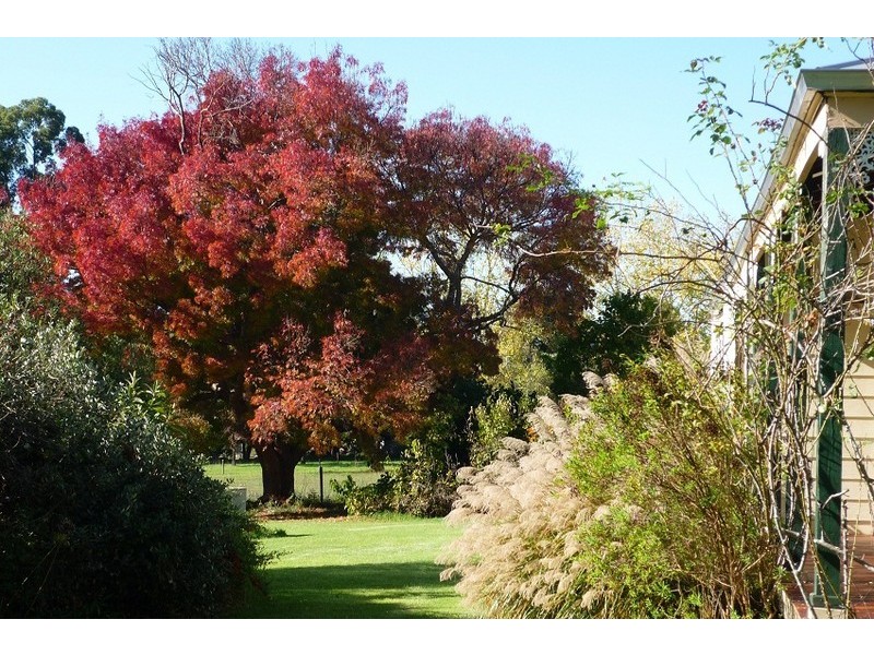 Loc 3116 Muir Highway, Manjimup WA 6258