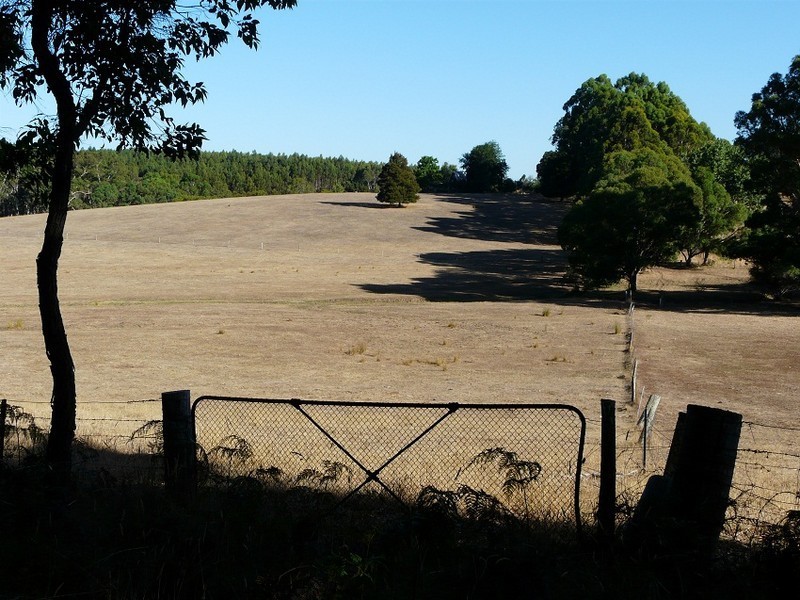 Loc 3116 Muir Highway, Manjimup WA 6258