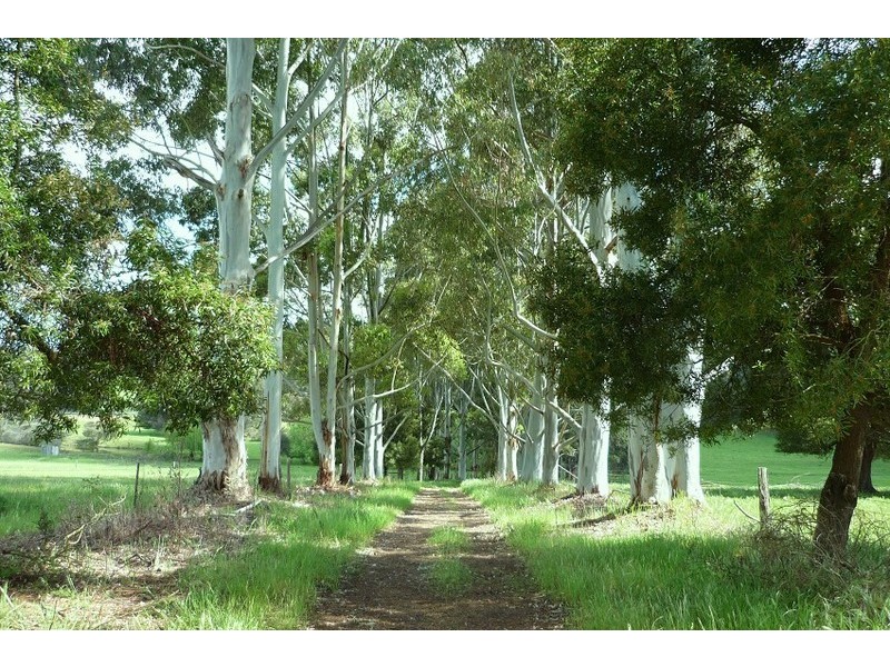 Loc 3116 Muir Highway, Manjimup WA 6258