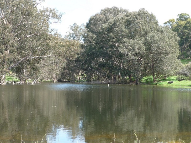 Loc 3116 Muir Highway, Manjimup WA 6258