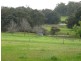 Loc 3116 Muir Highway, Manjimup WA 6258