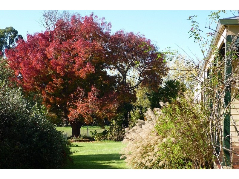 Loc 3116 Muir Highway, Manjimup WA 6258