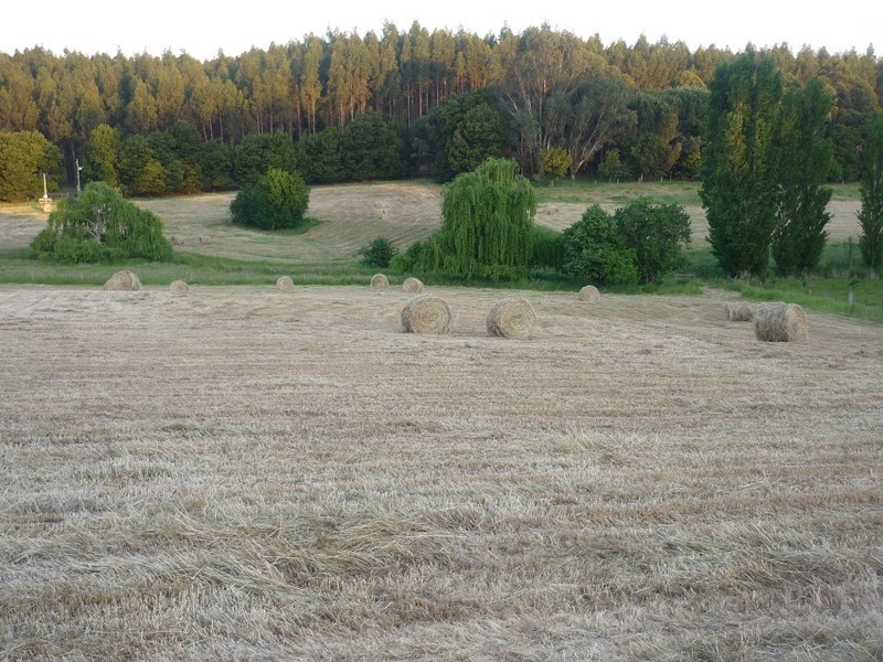 Loc 3116 Muir Highway, Manjimup WA 6258