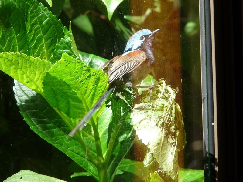 Loc 3116 Muir Highway, Manjimup WA 6258