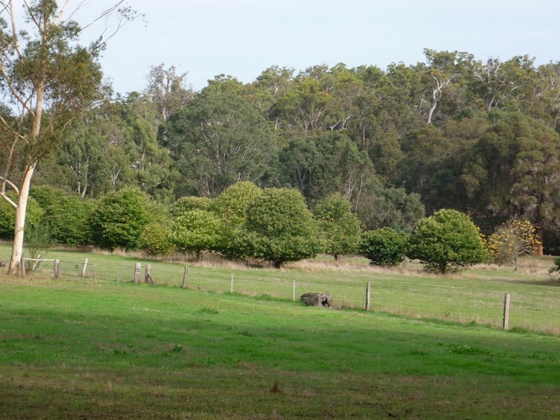 Loc 3116 Muir Highway, Manjimup WA 6258