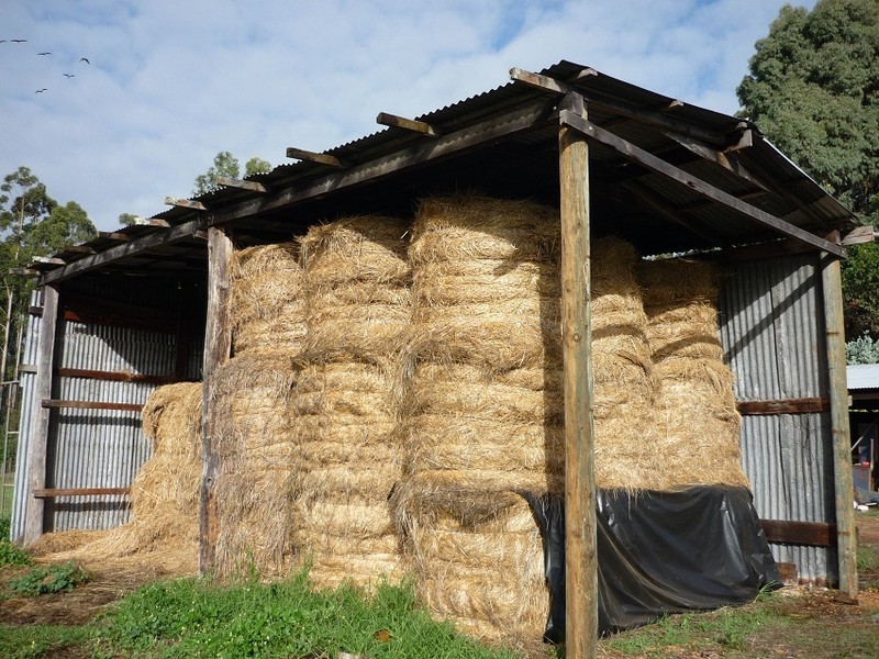 Loc 3116 Muir Highway, Manjimup WA 6258