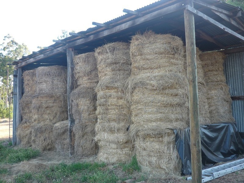 Loc 3116 Muir Highway, Manjimup WA 6258