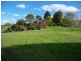 Lot 501 Perup Road, Manjimup WA 6258
