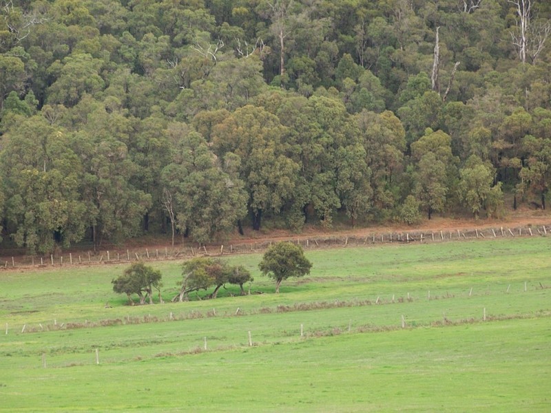 NL 2084 Dingup Road, Manjimup WA 6258