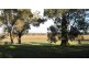 43 Balyan Retreat, Manjimup WA 6258