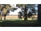43 Balyan Retreat, Manjimup WA 6258