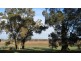 43 Balyan Retreat, Manjimup WA 6258