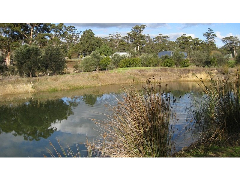 39 Becker Street, Manjimup WA 6258