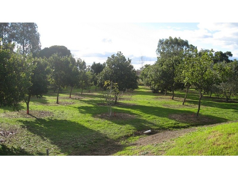 39 Becker Street, Manjimup WA 6258