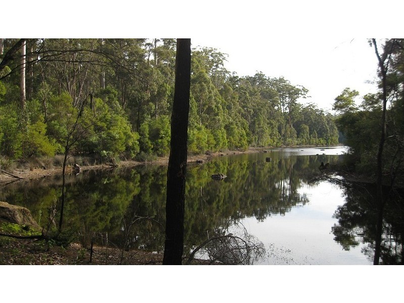 31 Karri Lane, Quinninup WA 6258