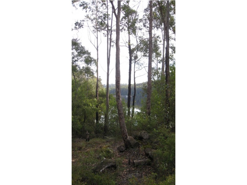 Lot 121 Karri Lane, Quinninup WA 6258