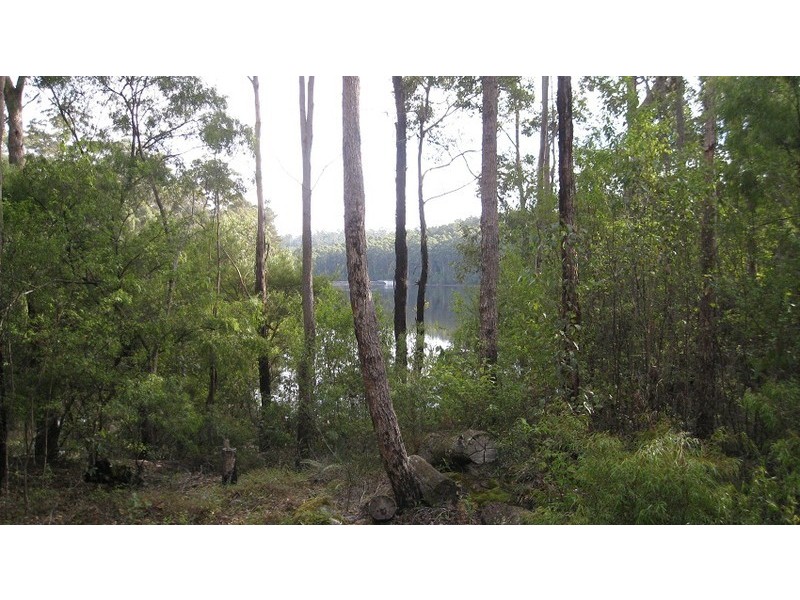 Lot 121 Karri Lane, Quinninup WA 6258
