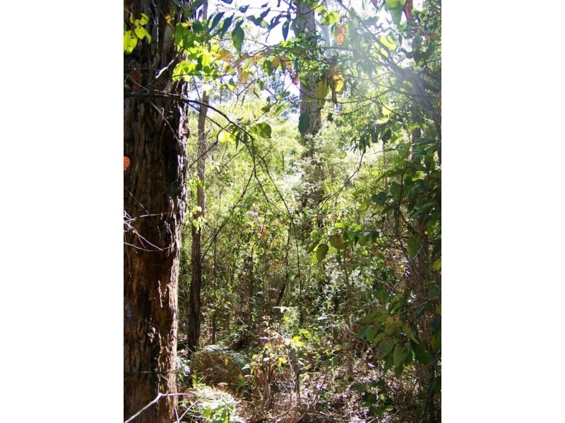 118 Karri Lane, Quinninup WA 6258