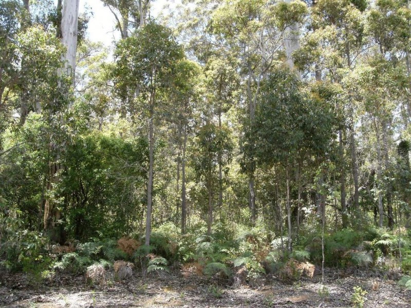 118 Karri Lane, Quinninup WA 6258