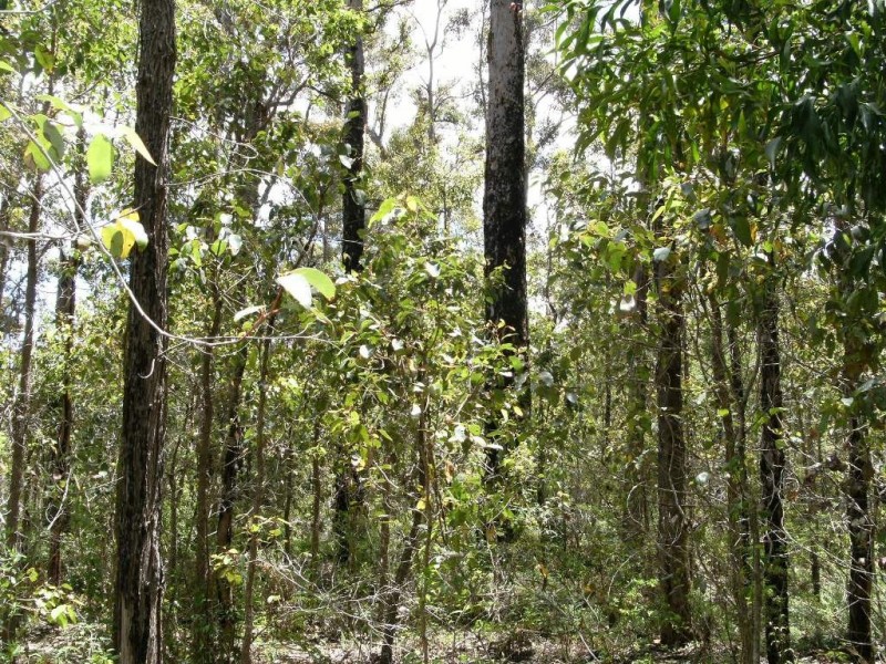 118 Karri Lane, Quinninup WA 6258