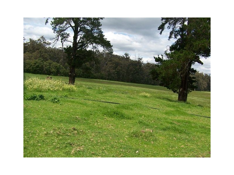 Lot 2 Vasse Highway, Manjimup WA 6258
