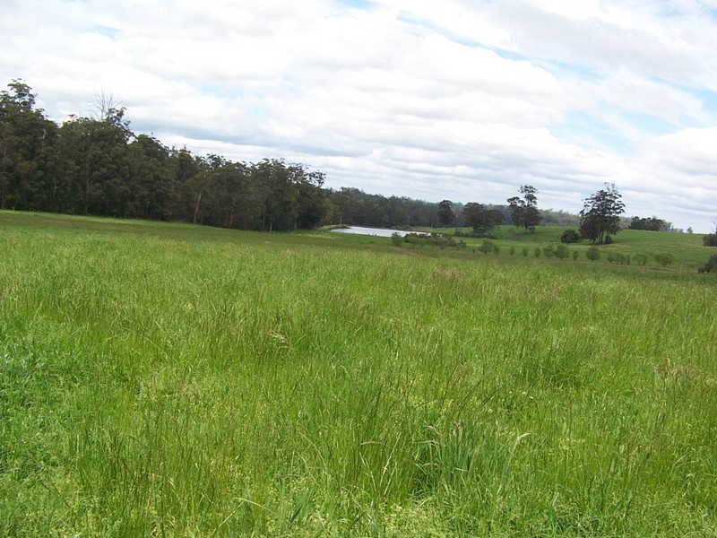 Lot 2 Vasse Highway, Manjimup WA 6258