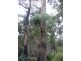 125 Karri Lane, Quinninup WA 6258