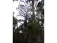 125 Karri Lane, Quinninup WA 6258