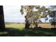 Manjimup WA 6258