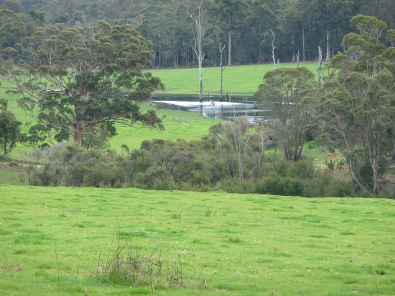 lot 1 and2 Lanepool Rd, Northcliffe WA 6262