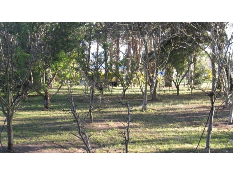 112 Perup Rd, Manjimup WA 6258