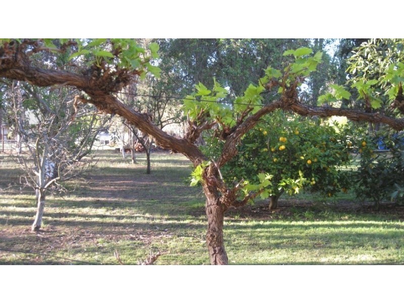 112 Perup Rd, Manjimup WA 6258