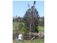 Lot 12 Balbarrup Road, Manjimup WA 6258