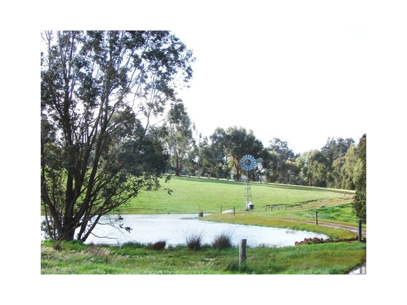 Lot 12 Balbarrup Road, Manjimup WA 6258