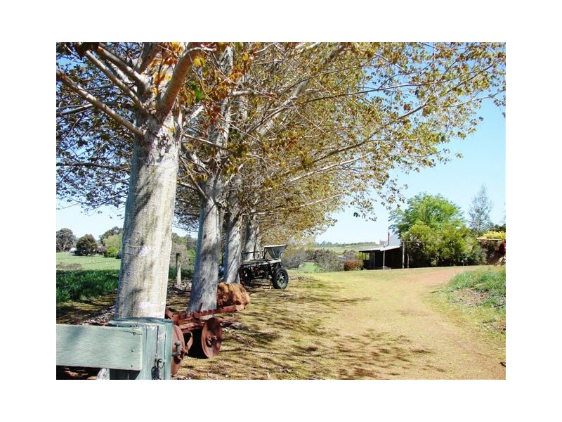 Lot 12 Balbarrup Road, Manjimup WA 6258