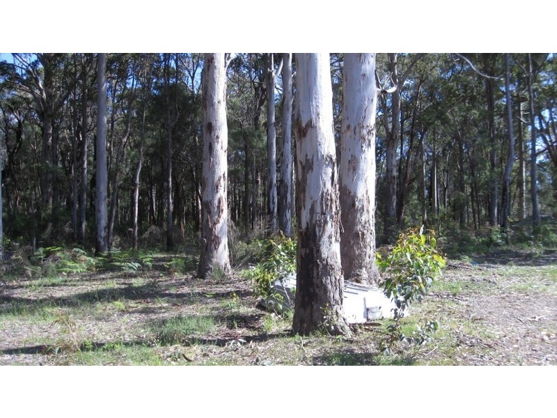 Loc 9002 Richardson Rd, Northcliffe WA 6262