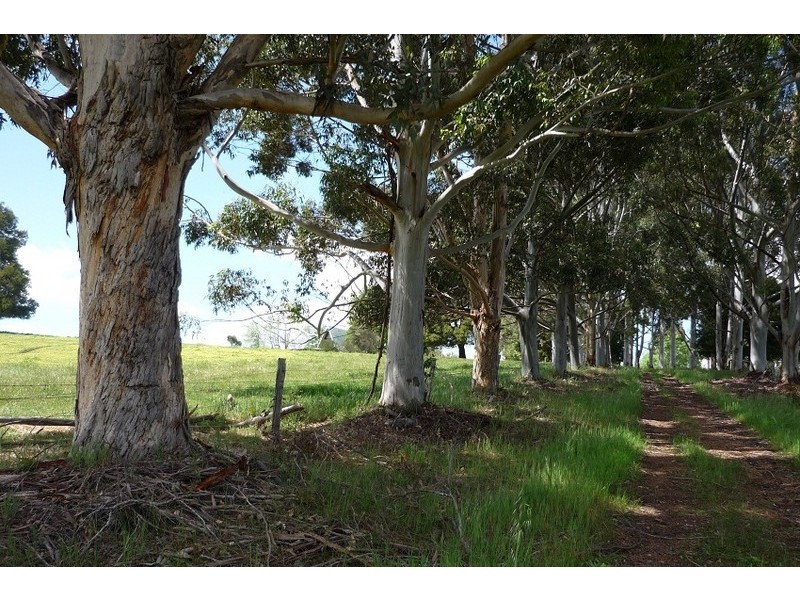 3116 Muir Highway, Manjimup WA 6258