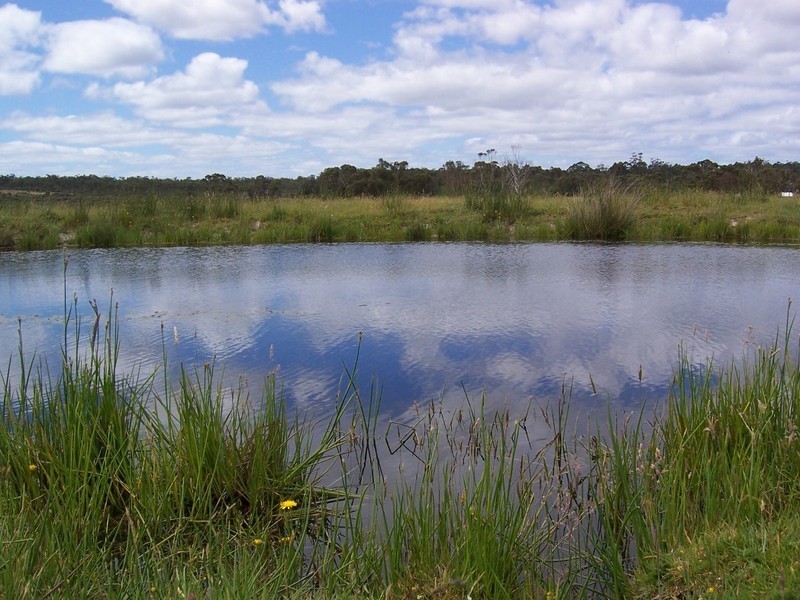 Lot 3 8686 Richardson Road, Northcliffe WA 6262