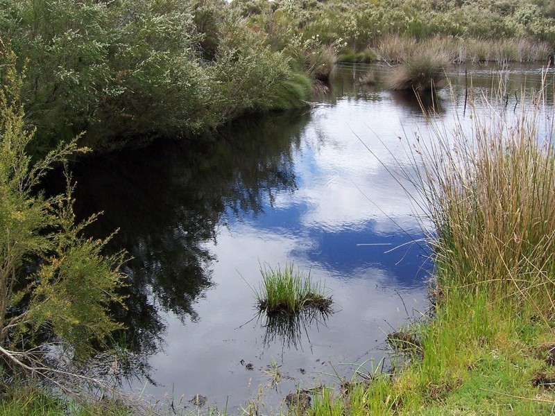 Lot 3 8686 Richardson Road, Northcliffe WA 6262