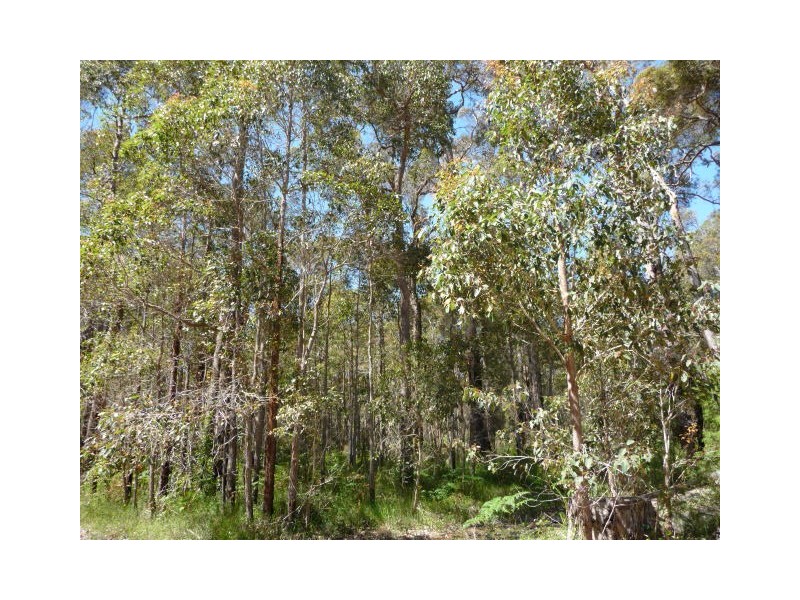 95 Plackett Drive, Pemberton WA 6260