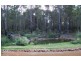 Lot 14 Woodgate Retreat, Manjimup WA 6258