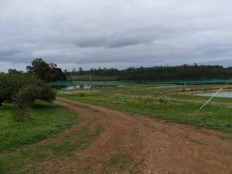 NL 3578 Perup Road, Manjimup WA 6258
