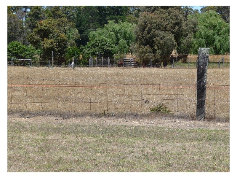 84 Chopping Street, Manjimup WA 6258