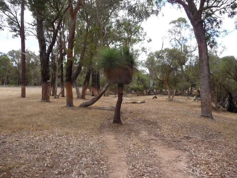 NL 13088 Junction Road, Manjimup WA 6258