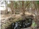 NL 13088 Junction Road, Manjimup WA 6258