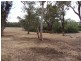 NL 13088 Junction Road, Manjimup WA 6258