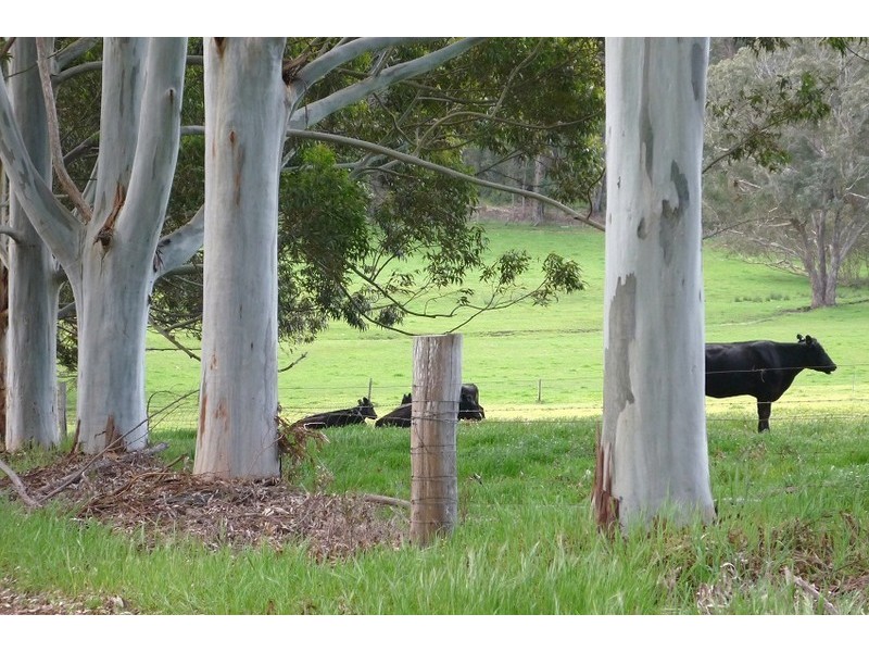 3116 Muir Highway, Manjimup WA 6258