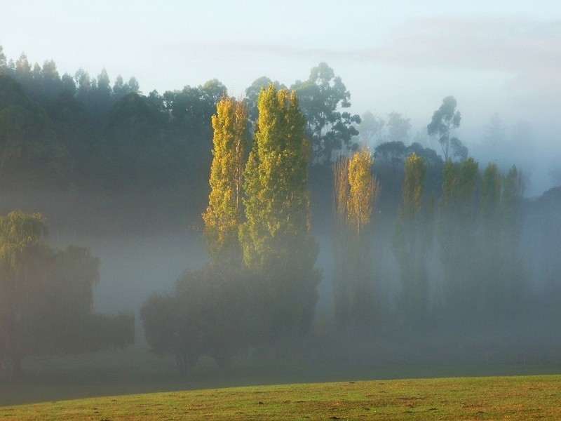 3116 Muir Highway, Manjimup WA 6258