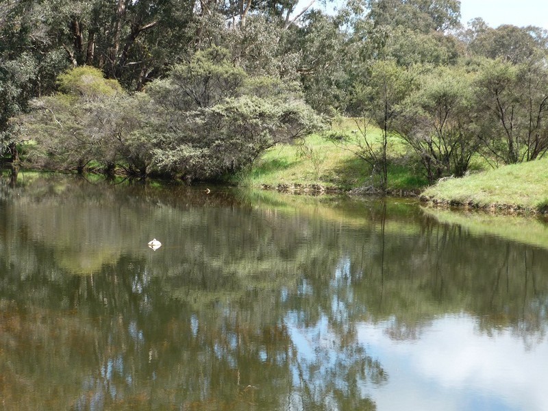 3116 Muir Highway, Manjimup WA 6258